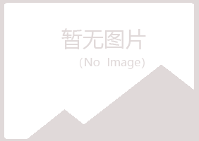 铁山区白易司法有限公司